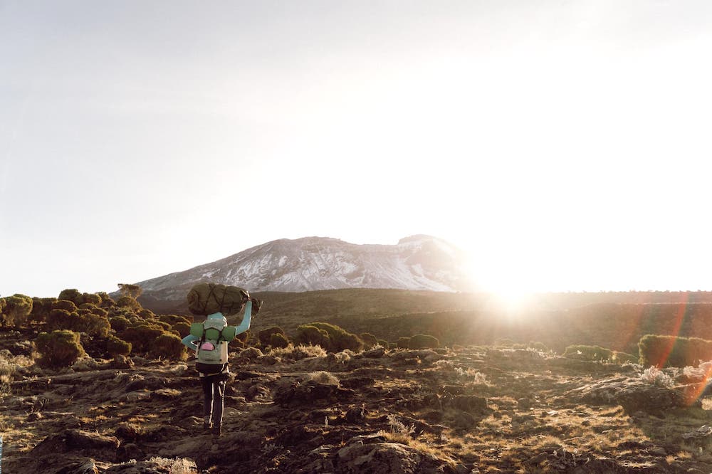 Kilimanjaro climbs, Tanzania safaris, VIP Kilimanjaro tours, Luxury Mount Kilimanjaro trekking, Best Kilimanjaro climbing company, Private Tanzania wildlife safaris, Arusha tour operator, Lemosho Route Kilimanjaro climb, Kilimanjaro beach safari combo