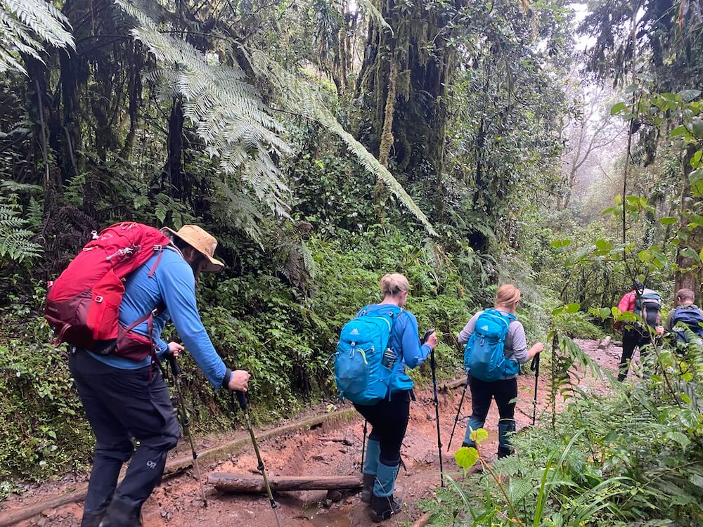 Trekking kilimanjaro
