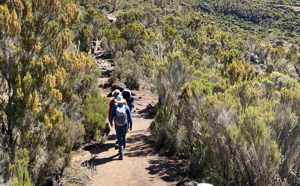 climbing shira route