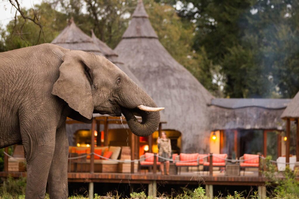 Luxury Safari Tents in Tanzania: 10 Stunning Tented Lodges with Breathtaking Views