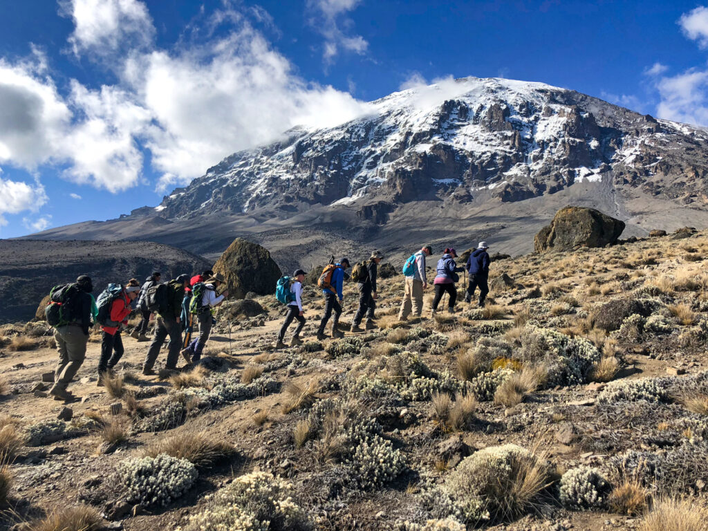 Kilimanjaro Hiking FAQs: 29 Essential Questions Answered for First-Time Climbers