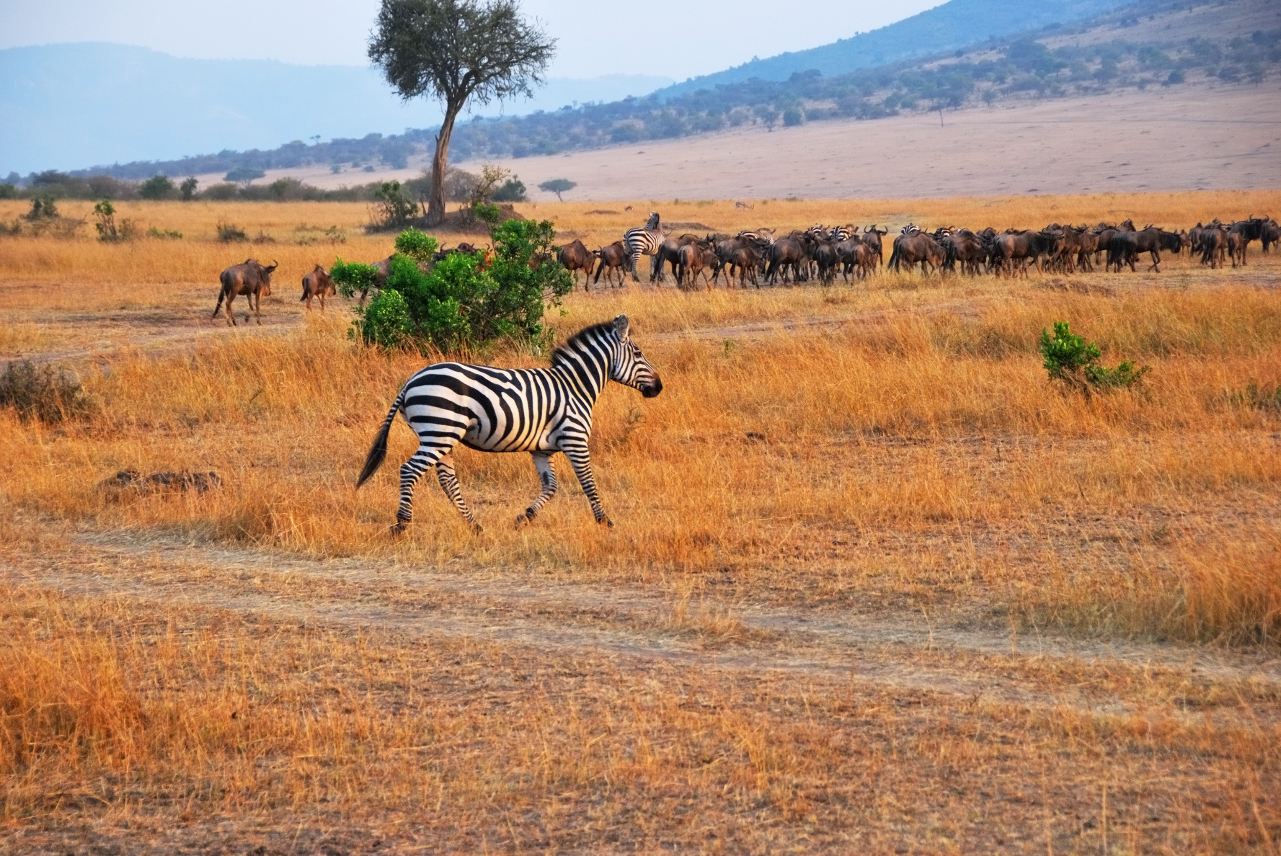 Extreme Adventure Tanzania: 10 Thrilling Tours for Adrenaline Seekers