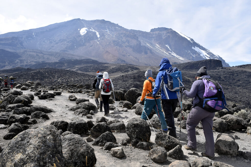Kilimanjaro Trek Reviews: 30 Real Traveler Experiences & Honest Insights