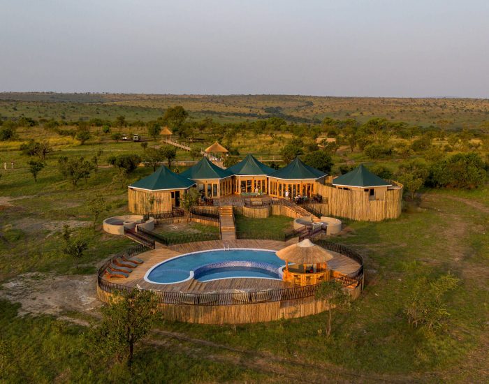 Acacia Migration Camp 1