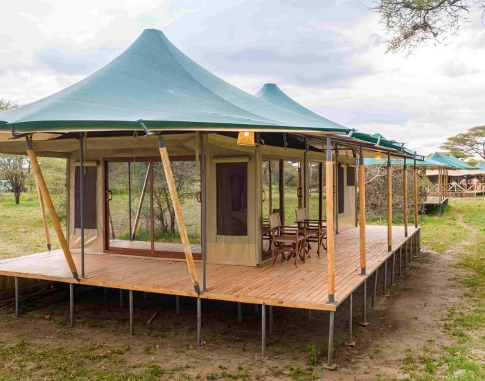 Acacia Migration Camp 12