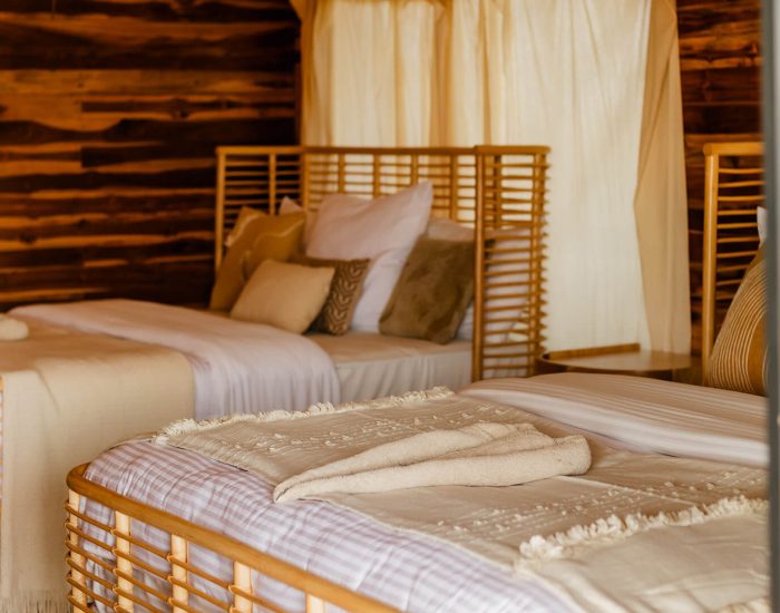 Acacia Migration Camp 14