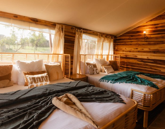 Acacia Migration Camp 17