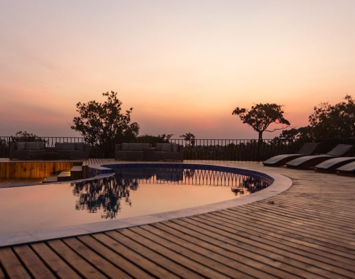 Acacia Migration Camp 3