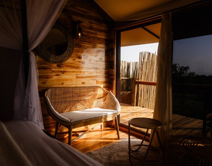 Acacia Migration Camp 4