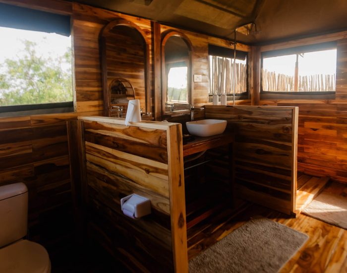 Acacia Migration Camp 6