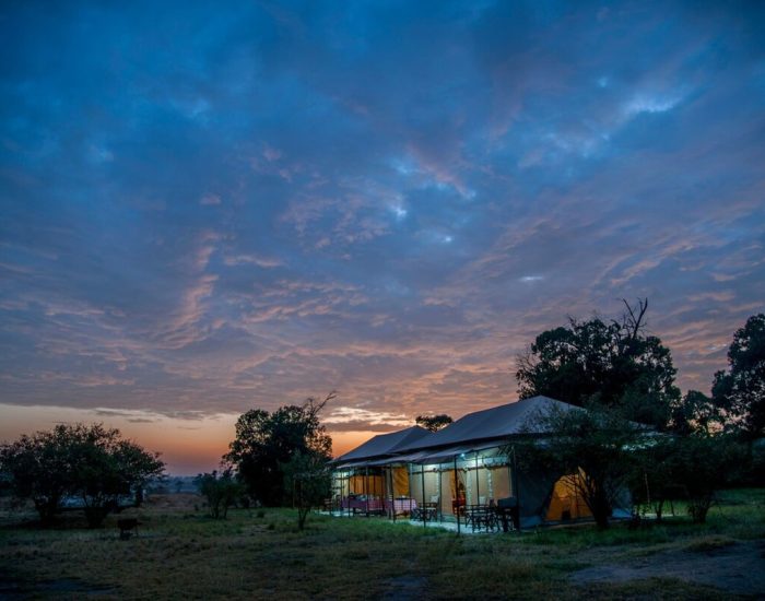 Acacia Migration Camp – Ndutu 2