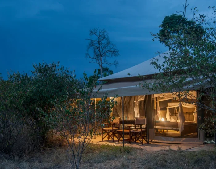 Acacia Migration Camp – Ndutu 3