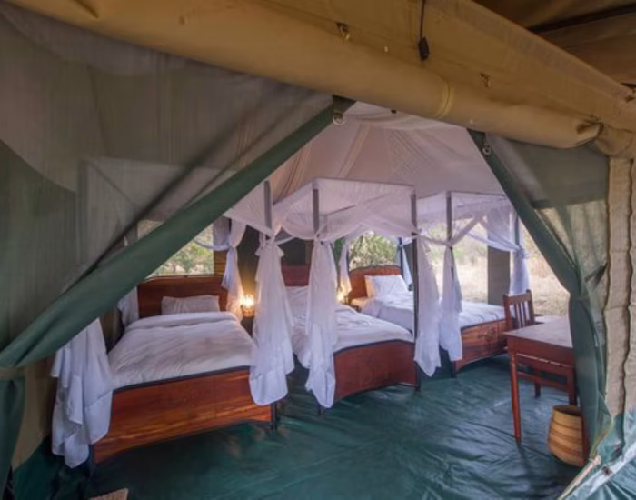 Acacia Migration Camp – Ndutu 4