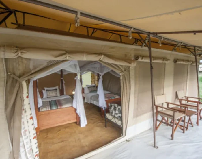Acacia Migration Camp – Ndutu 7