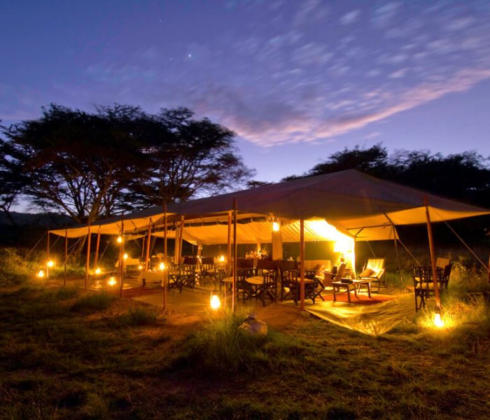 Accomodation safari