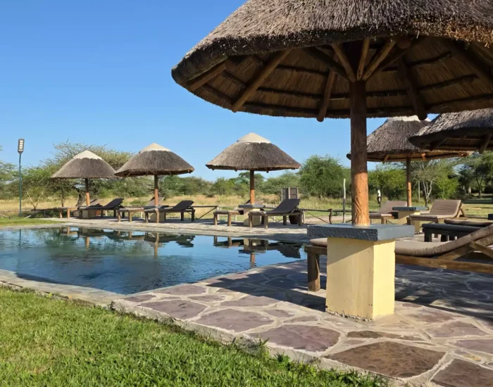 Africa Safari Serengeti Ikoma 2