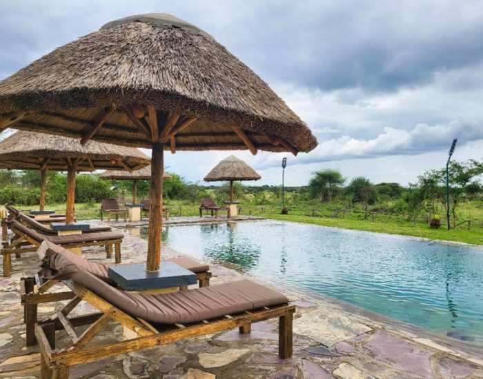 Africa Safari Serengeti Ikoma 7