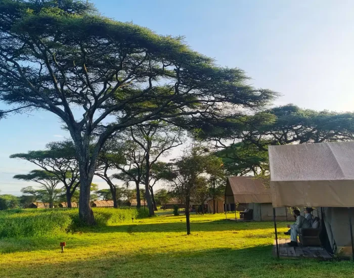 Africa Safari South Serengeti1