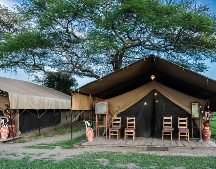 Africa Safari South Serengeti4