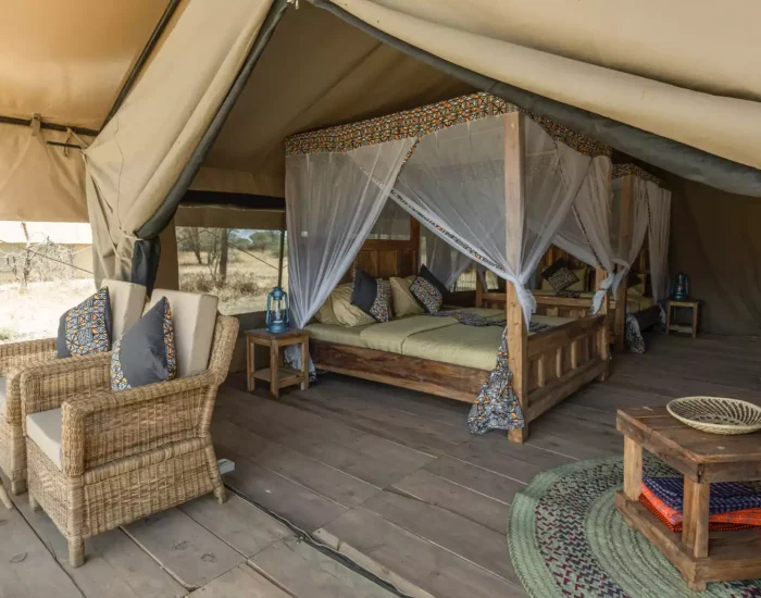 Africa Safari South Serengeti5