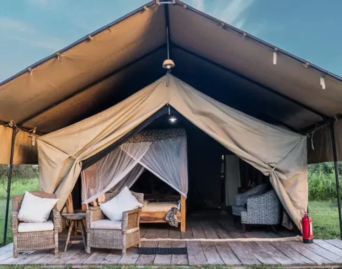 Africa Safari South Serengeti7