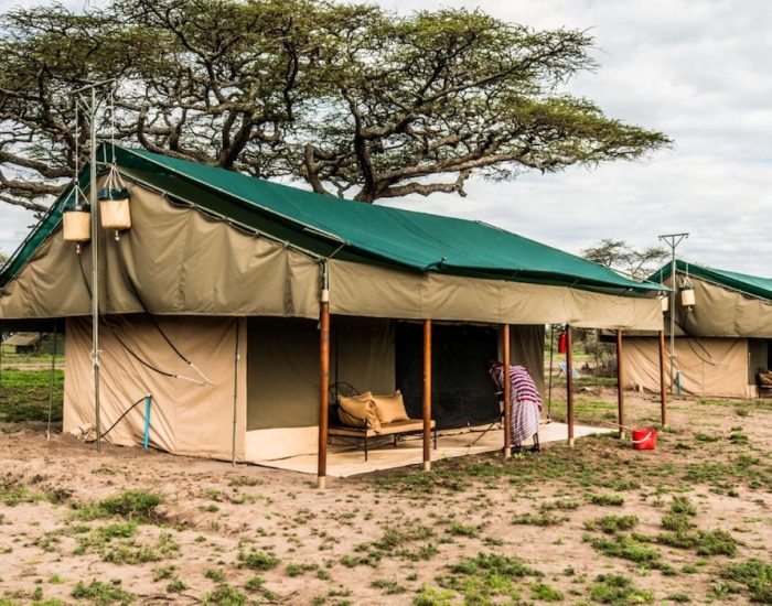Ang’ata Migration Camp – Ndutus