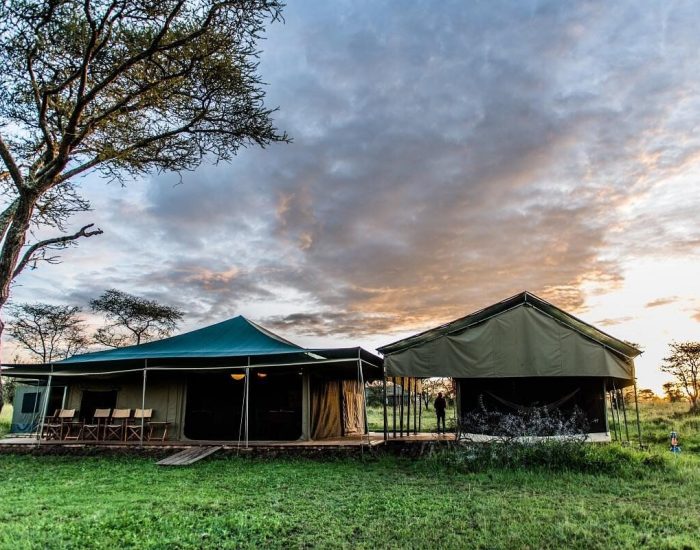 Ang’ata Migration – Bologonja Camp serengeti