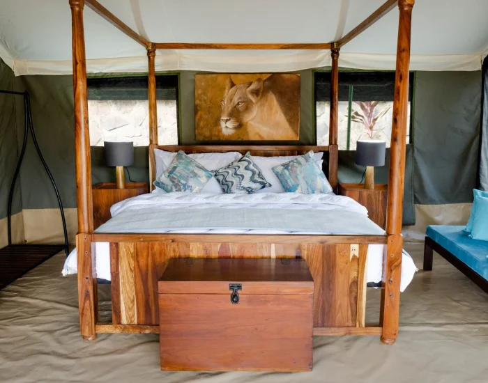 Ang’ata Migrations