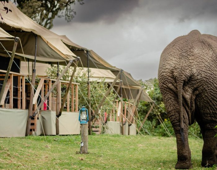 Ang’ata Ngorongoro CampS