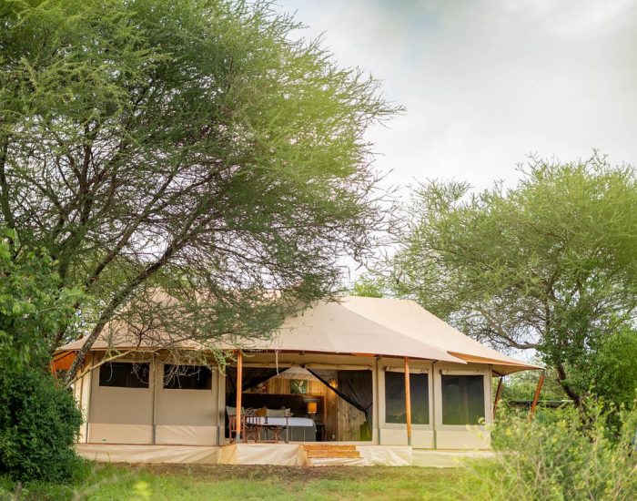 Ang’ata Tarangire Camp vikew