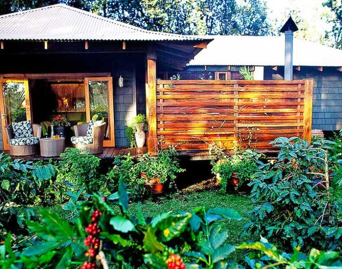 Arusha Coffee Lodge5