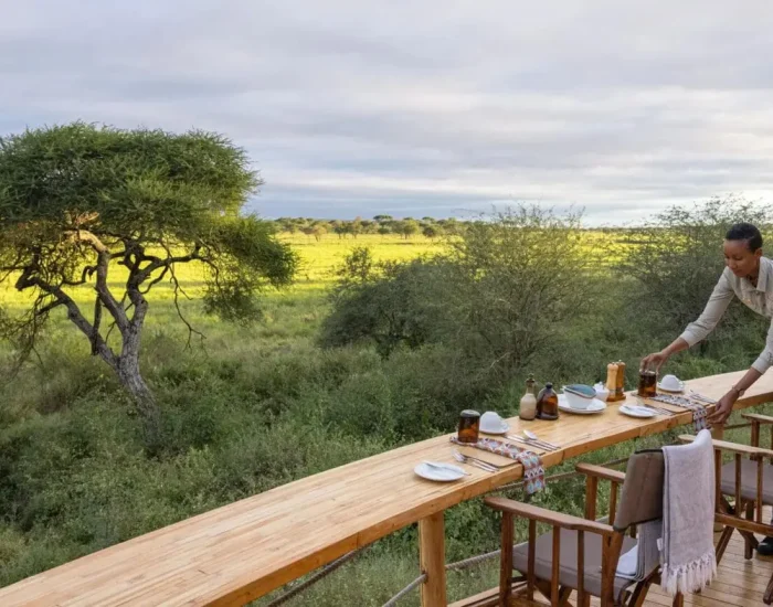 Asilia-Africa-Olivers-Camp-Breakfast- Kiliclimb Africa Safaris