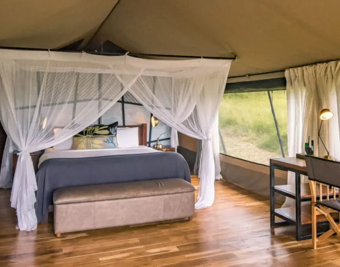 Asilia_Camp-Lodges_Dunia_Camp-Carousel10-1- Kiliclimb Africa Safaris