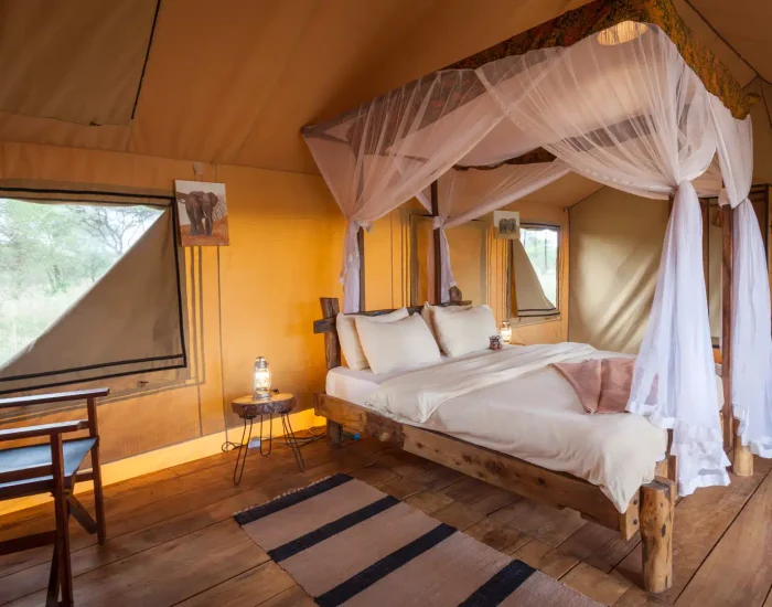 BAOBAB_CAMP_2023- single room