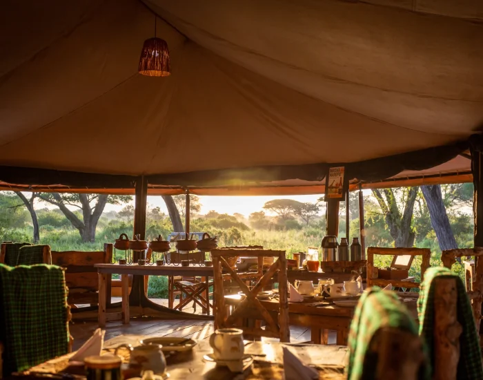 Baobab-Camp-Mawe-Lodges-31-