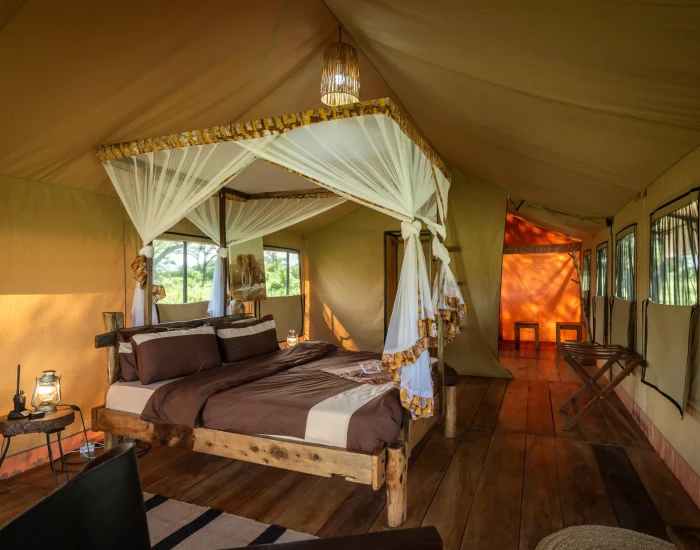 Baobab-Camp-Mawe-Lodges-kingsize