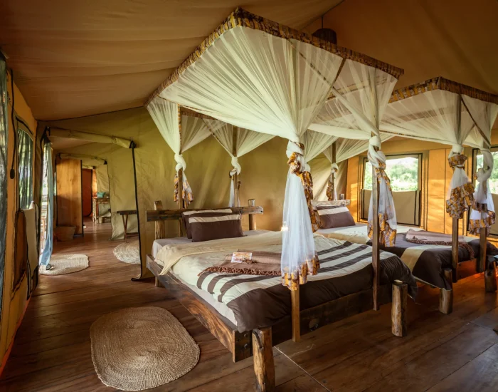 Baobab-Camp-Mawe-Lodges-twins