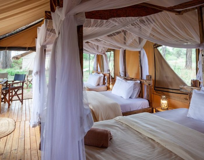 Baobab Tented Camp Tarangiretriple-room