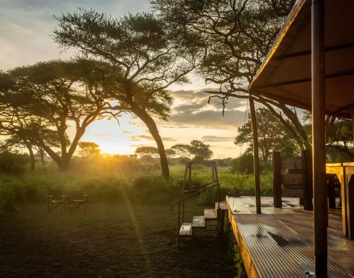 Baobab Tented Camp – Tarangire tour