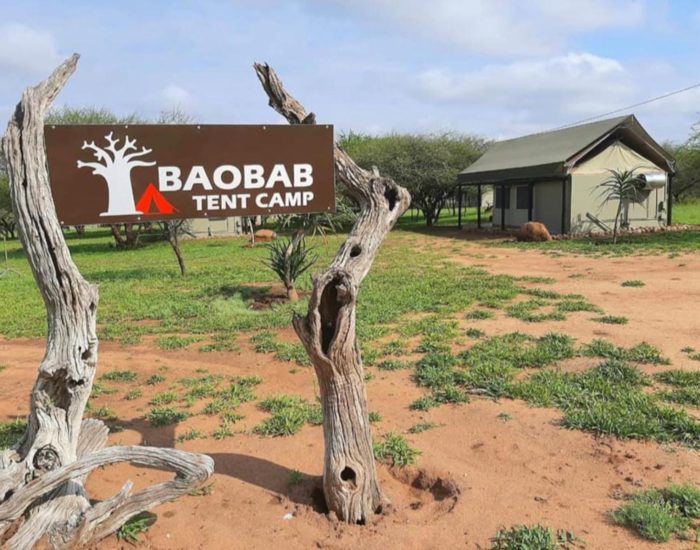 Baobab Tented Camp – Tarangires