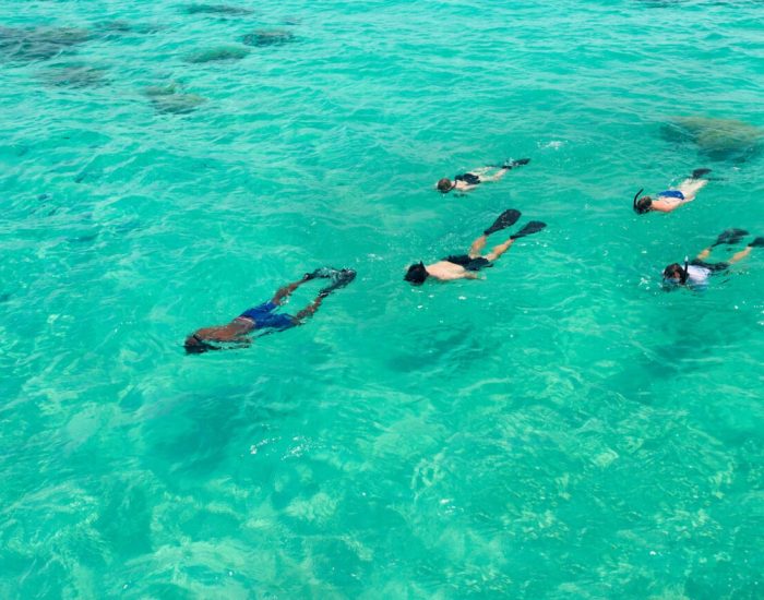 Benguerra-Island-Experiences-Snorkeling-group-of-guests-