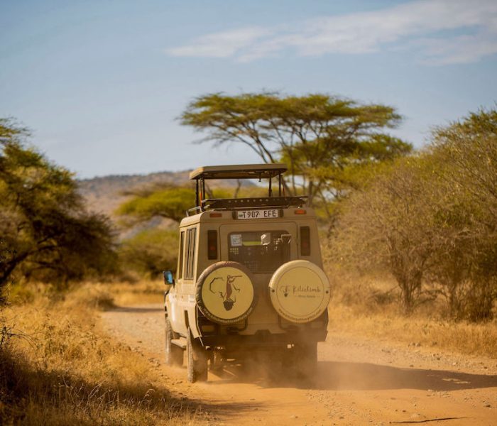 Bespoke Tanzania Safari1
