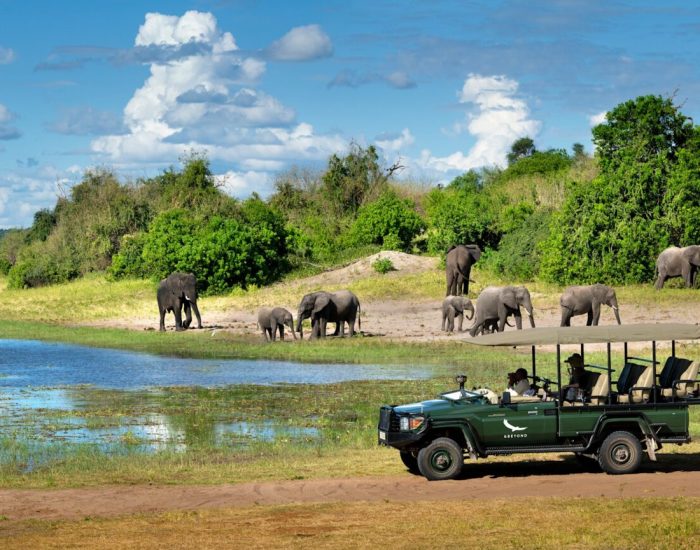 Botswana-Chobe-National-Park-Chobe-Under-Canvas-Experience-Game-Drive-Chobe-River-