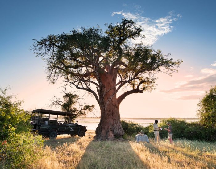 Botswana-Chobe-National-Park-Under-Canvas-Experience-Boabab-tree-guest-delight-