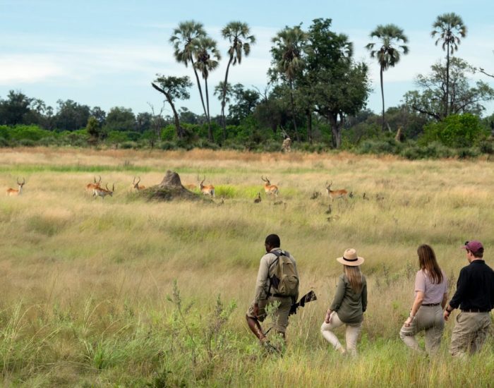 Botswana-Sandibe-Under-Canvas-experience-guided-walk-red-lechwe-