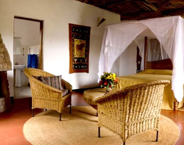 Bougainvillea Safari