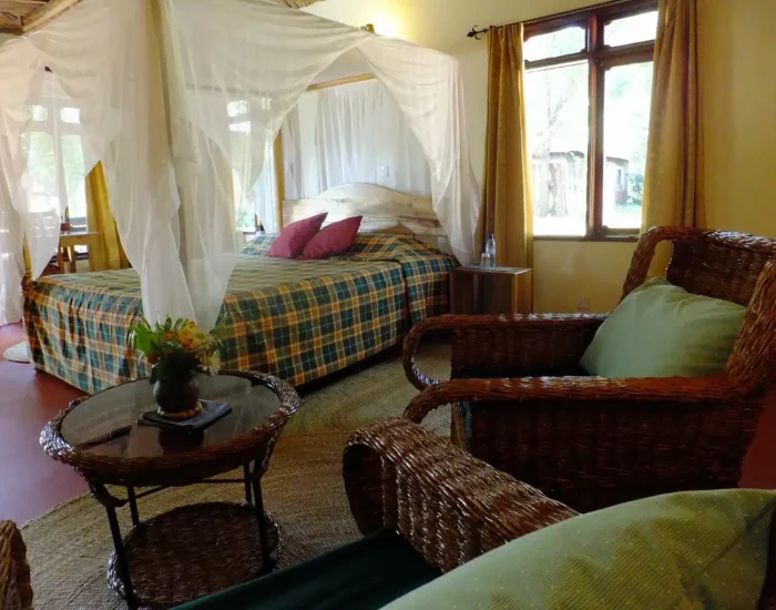 Bougainvillea Safari Lodge room