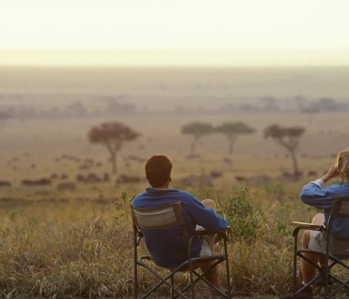 Bush Serengeti