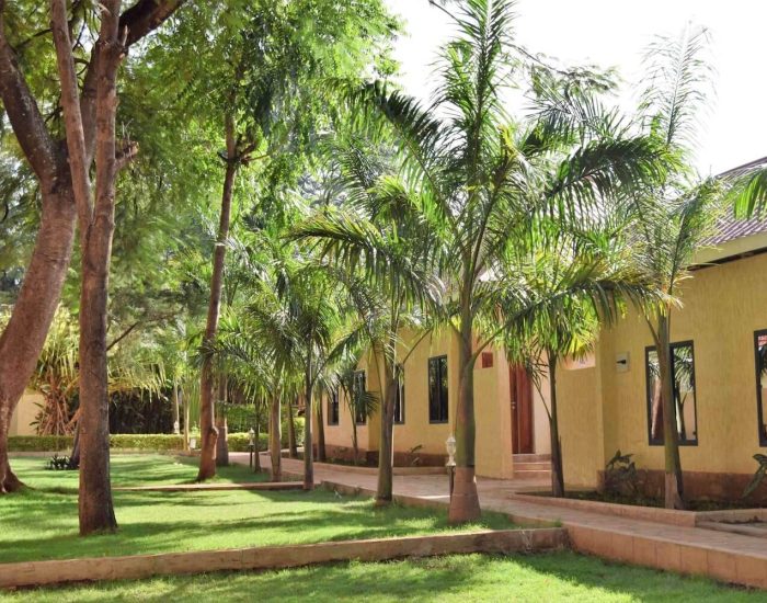 Chanya by Ardhi Africa