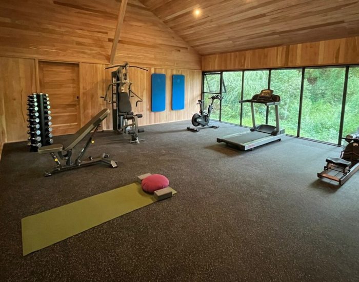 Chile-Vira-Vira-Gym-